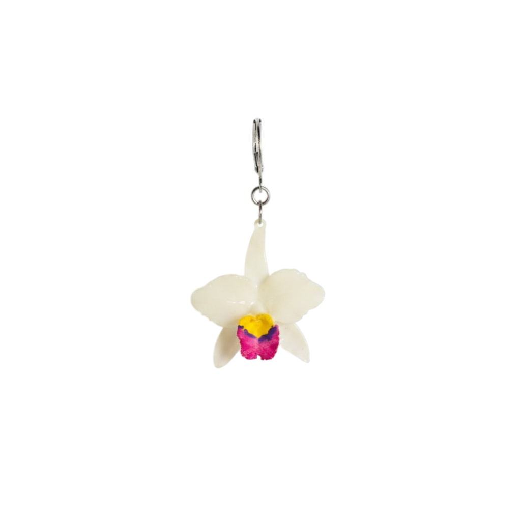 1 Arete Orquídea