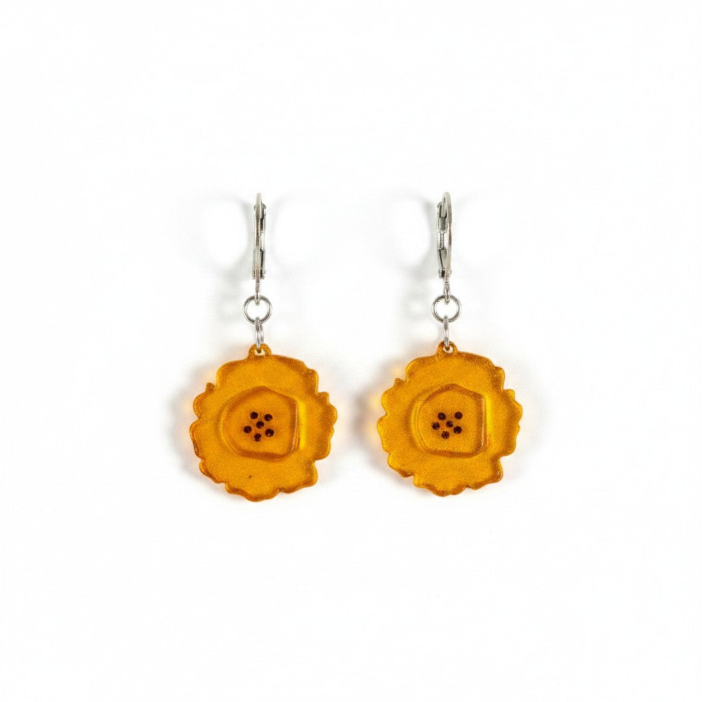Aretes Patacon