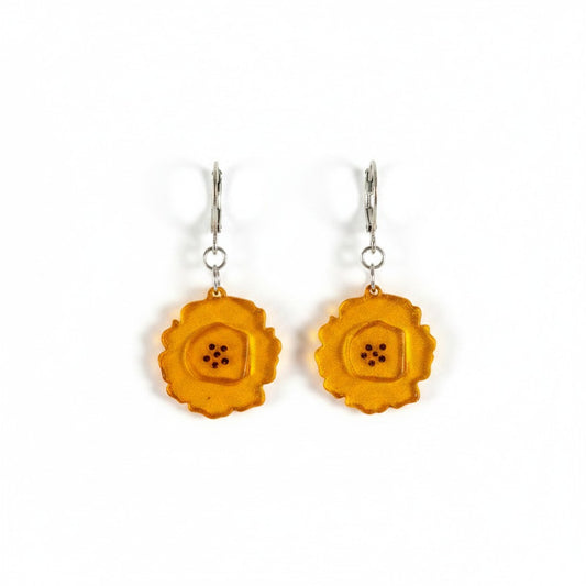 Aretes Patacon
