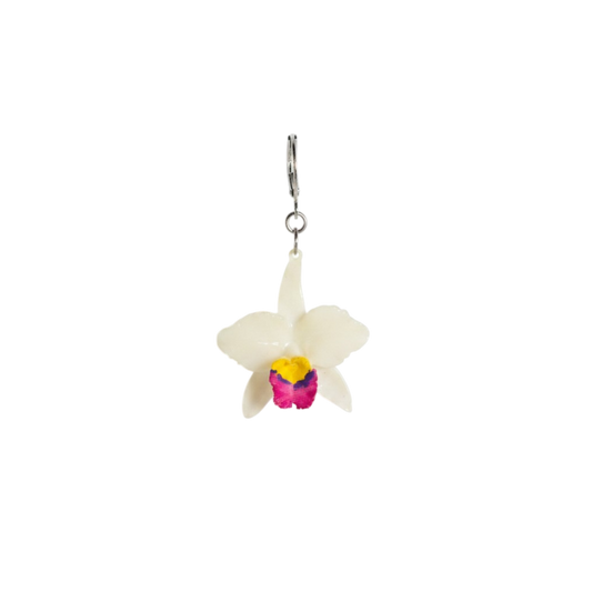 1 Arete Orquídea
